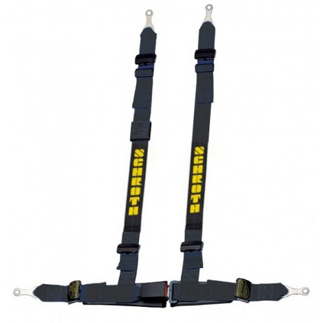 Schroth Rallye Cross asm